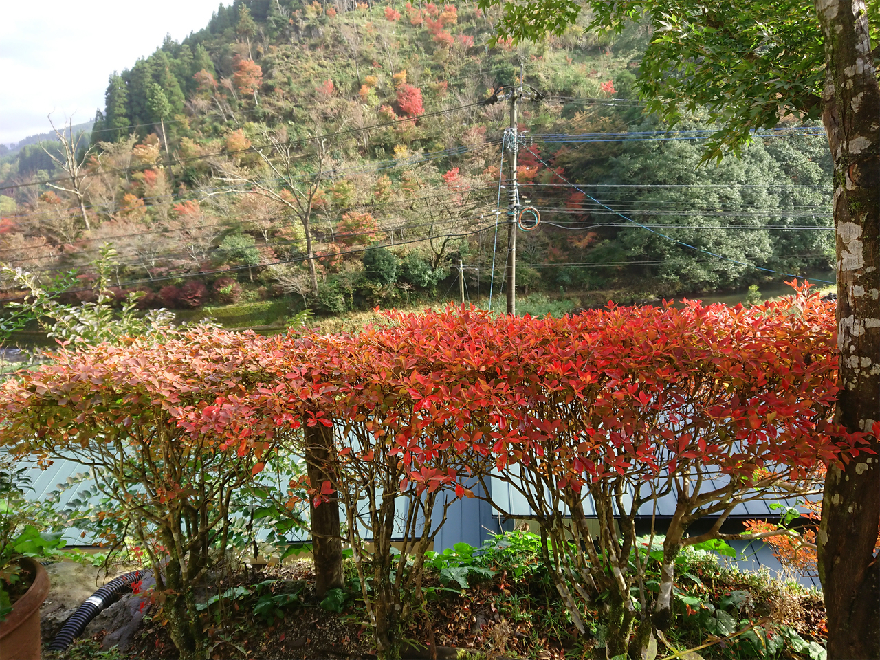 DSC_1417.jpg