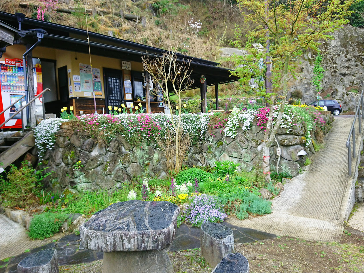 DSC_2116.jpg