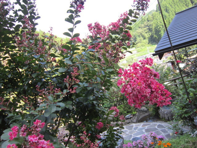 IMG_1778.JPG