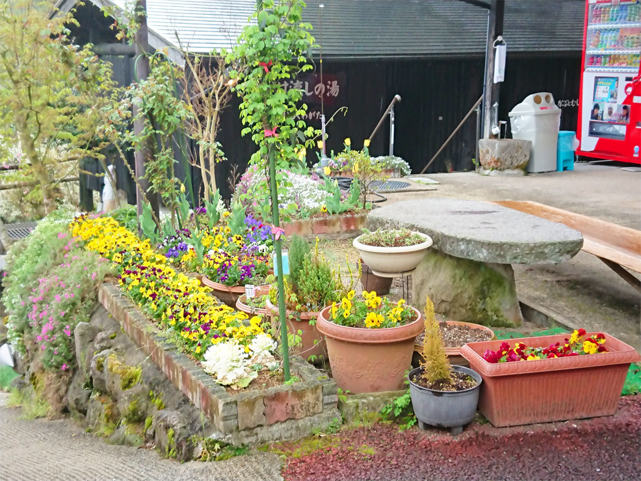 DSC_2115.jpg