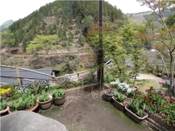 2011年5月4日.jpg