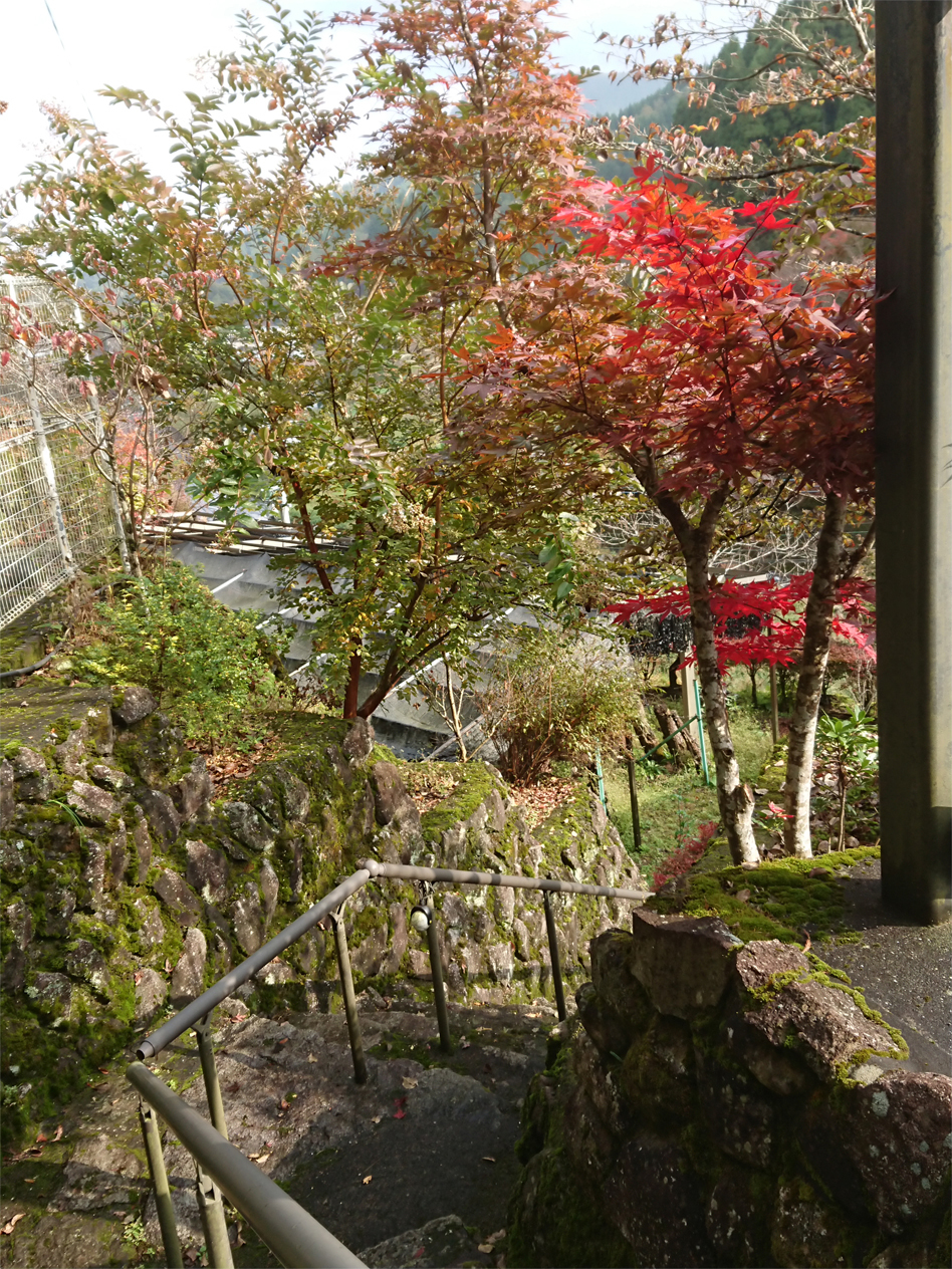 DSC_1411.jpg