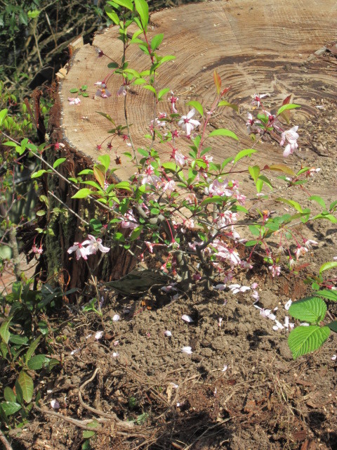 IMG_1744.JPG