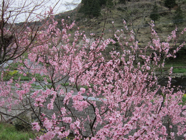 IMG_1947.JPG